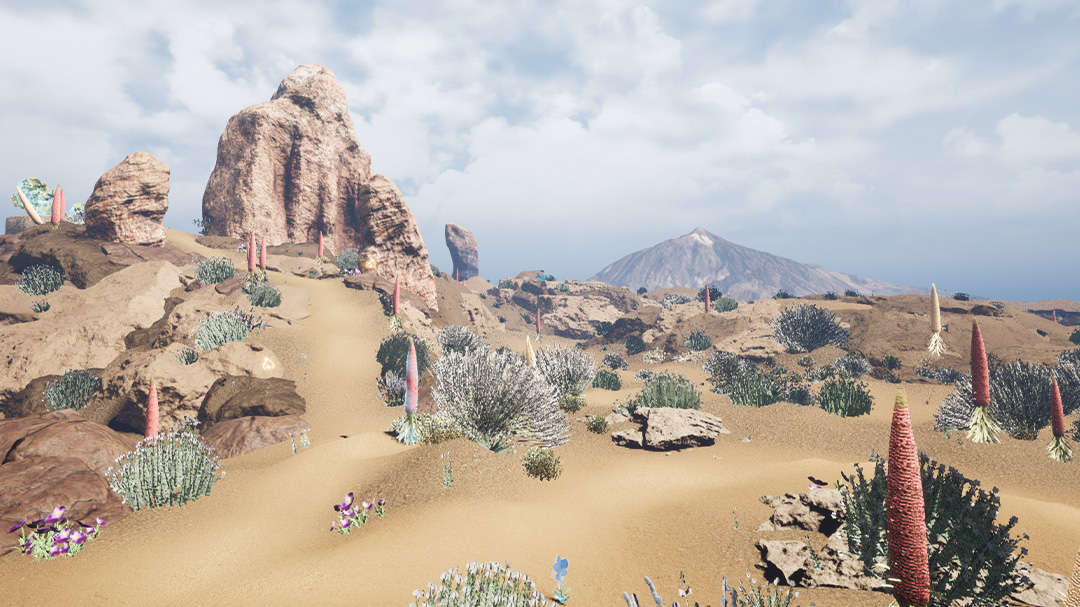 Experiencia virtual Teide