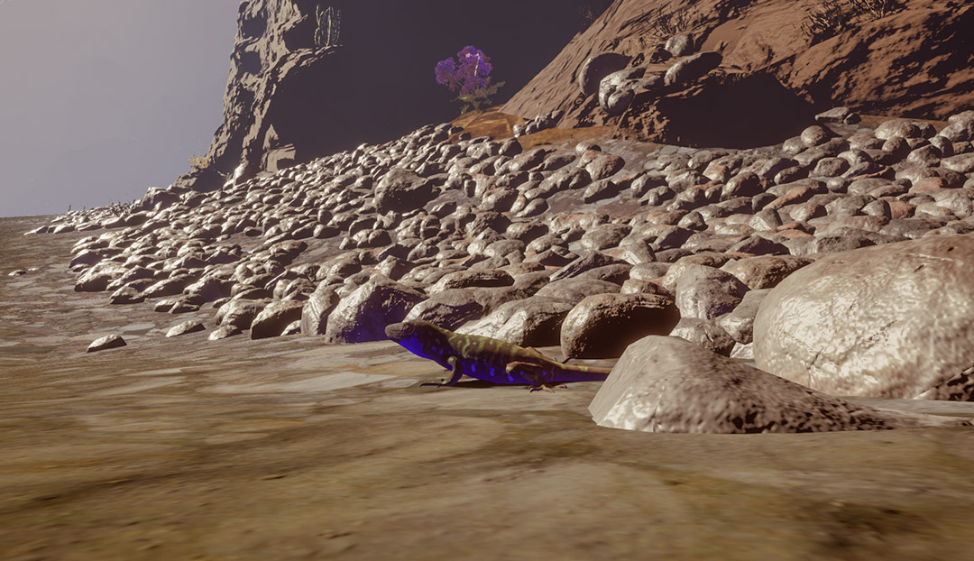 Tawayro Experiencia virtual Canarias